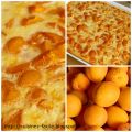 Clafoutis aux Abricots / Clafoutis with Apricots