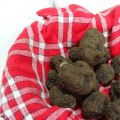 Tagliatelles fraîches aux truffes