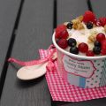 My Frozen Yogurt (glace au yaourt maison) {My[...]