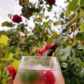 Cocktail à la Rhubarbe... entre autres choses !