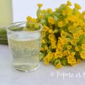 Limonade aux fleurs de printemps : un[...]