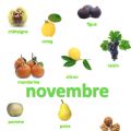 Les fruits et légumes de Novembre