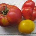 Quiche de Gauche aux tomates Heirloom