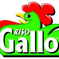 Riso Gallo - Voyage presse - 1ère partie