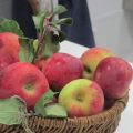 La pomme Ariane : une pomme juteuse, croquante,[...]