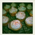 Cupcakes rhubarbe-coco