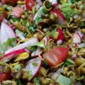 Salade de haricots mungos germés – Sprouted[...]