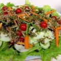 Salade de courgette crue au pesto