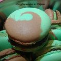 Macarons chocolat/pistache bi-couleurs