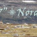 Norvège : la route du Cap Nord, la randonnée au[...]