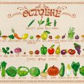 Fruits et légumes du mois d'octobre , vive[...]