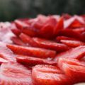 Tarte aux fraises sur ganache au chocolat blanc