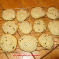 Biscuits à l'avoine et raisins sec ( pépittes[...]