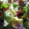 Violettes et primevères en salade