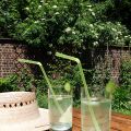 Cocktail 'Jardin vert' au basilic, concombre et[...]