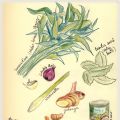 Cooking morning glory : soupe khmère aux[...]