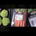 Mini-légumes : recettes et astuces