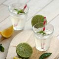 Limonade Homemade - Virgin Mojito {Carte[...]