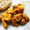 Curry de poulet {sans gluten et sans lactose}