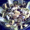 Salade de fromages - Supertoinette, la cuisine[...]