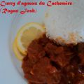 Rogan josh (Curry d'agneau du Cachemire)