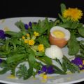 Salade d’herbes et fleurs sauvages