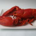 Homard top modèle et sa guedille