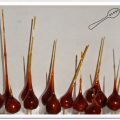 Noisettes caramélisées