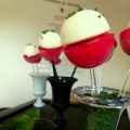 Sucettes Fraises/chantilly
