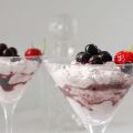 Mousse aux myrtilles express