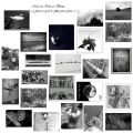 Mai en noir et blanc, la mosaïque et le sujet[...]