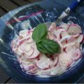 Salade de radis, et retour sur le blog!