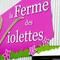 Coup de cœur : La ferme des violettes