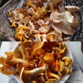 Tarte chaude aux girolles et pieds de mouton et[...]