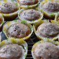 Muffins au Citron et Graines de Pavot