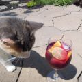 Virgin sangria à la cerise