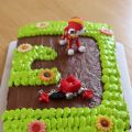 gâteau d'anniversaire Pat Patouille