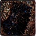 Eclade (églade) de moules - spécialité -[...]