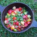 Green, yellow and red tomato sauce with grilled[...]
