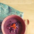 Zuppa di cavolo viola arrosto