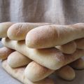 Panini