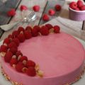 Entremet Framboises/Framboises