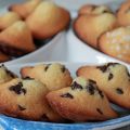 Les Petites Madeleines