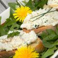 Rillettes de poulet aux fines herbes