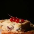 Sablés aux cranberry et raisins de corinthe,[...]