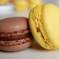 Macarons au chocolat et macarons au citron,[...]