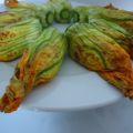 Fleurs de courgettes farcies à la ricotta