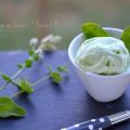 Glace à la menthe glaciale, ou quand le sirop[...]