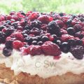 pavlova | pavlova [süslü beze]