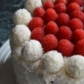 Gâteau Choco-Coco-Framboises